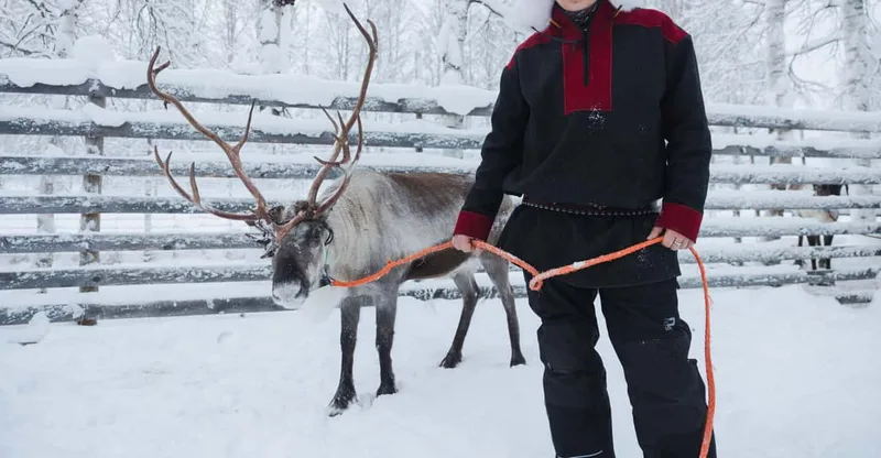 Husky & Reindeer Experience with Snowmobile Ride — snowmobile tour in Rovaniemi