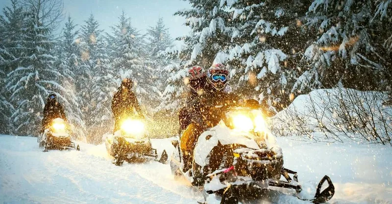 Snowmobile Ride with Bonfire and Private Driver — snowmobile tour in Zakopane