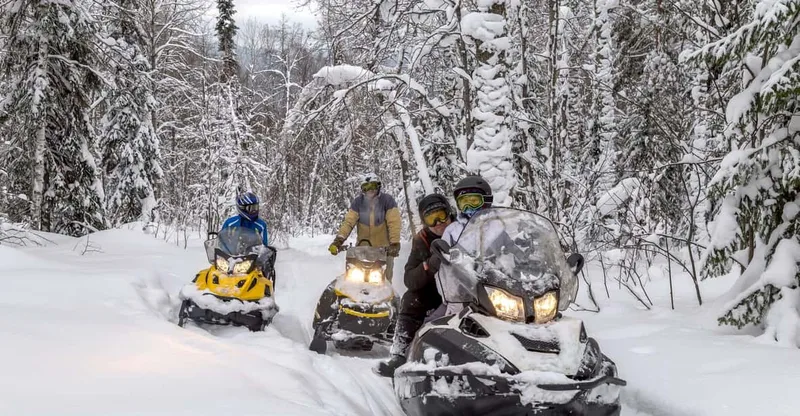 Snowmobiles (or Quads), Thermal Pools & Tasting — snowmobile tour in Zakopane